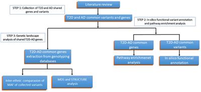 Decoding the genetic relationship between Alzheimer’s disease and type 2 diabetes: potential risk variants and future direction for North Africa